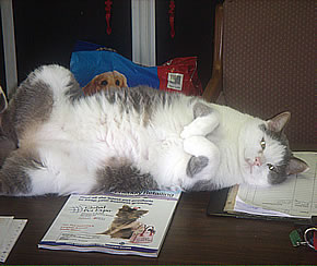 Lee, our Mascot!