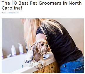 Top 10 Best Pet Groomers in North Carolina