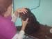momma pets u love 046