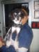 momma pets u love3 003